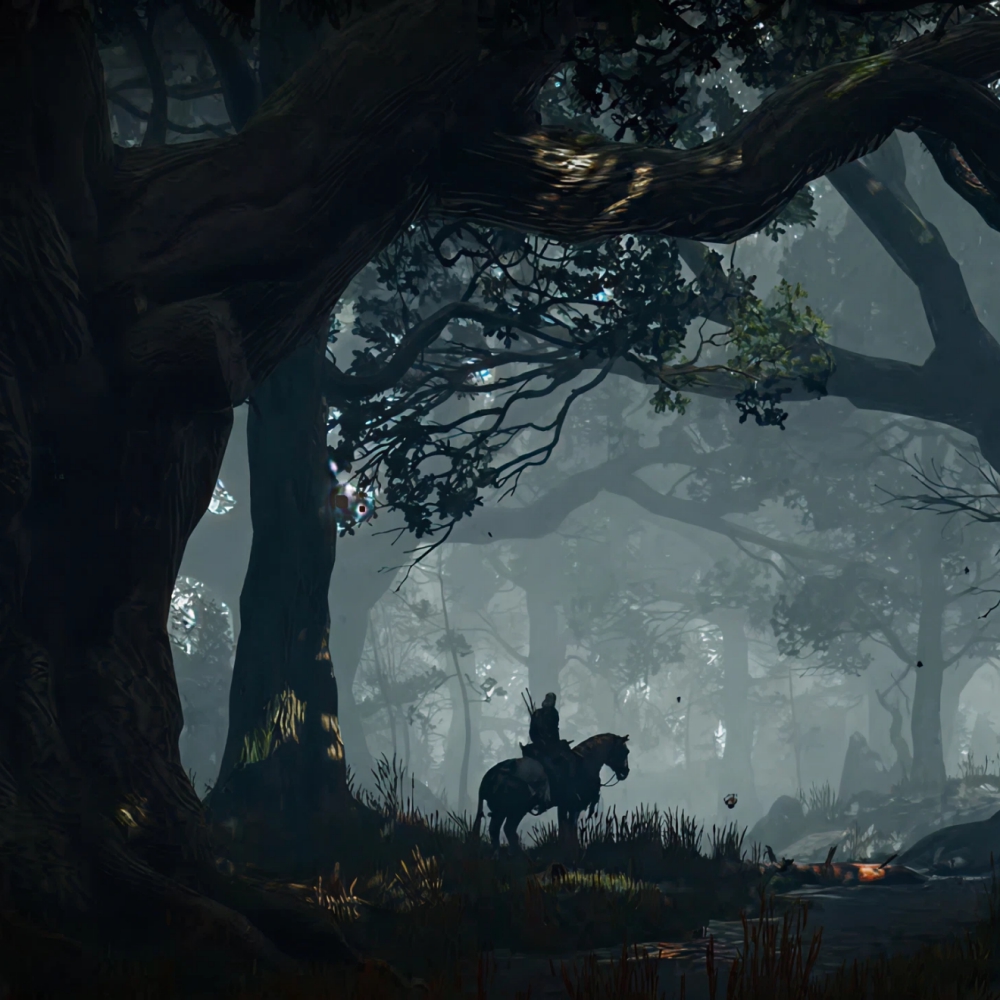 Gerald sur son cheval au milieu de la foret